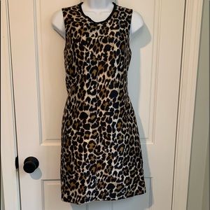Fun JCrew leopard print dress